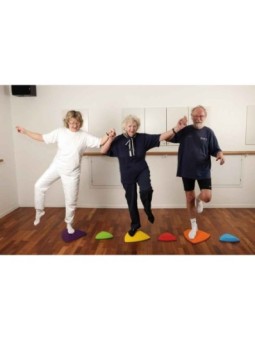 Lot de 6 pierres de rivière