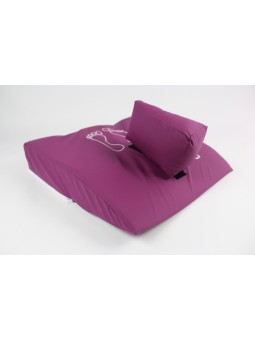 Relève-jambes abducteur...