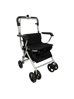 Chariot de course Neo Baladeo